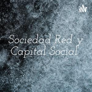 Sociedad Red y Capital Social