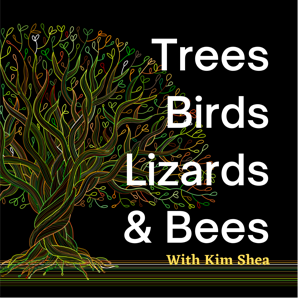 Trees, Birds, Lizards  Bees