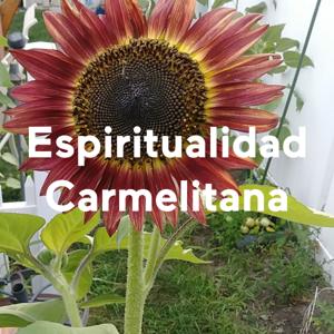 Espiritualidad Carmelitana