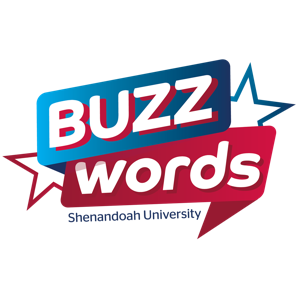 Buzzwords: Conversations about Teaching and Learning at SU