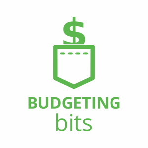 Budgeting Bits