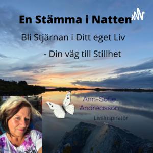 En Stämma i Natten - vägen till Stillhet - ” Ut på tur & aldrig sur”