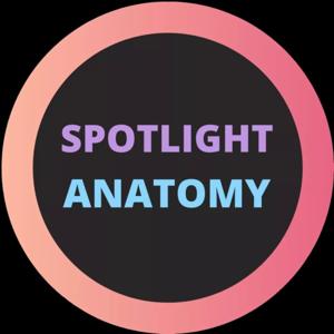 Spotlight Anatomy