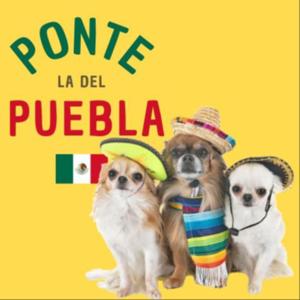 ¡Ponte la del Puebla!