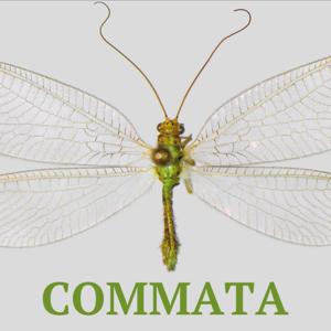 Commata: Communication Theory and Research