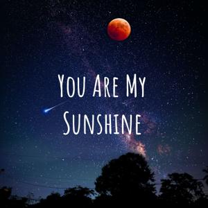 You Are My Sunshine