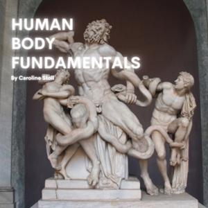 Human Body Fundamentals by Caroline Stoll