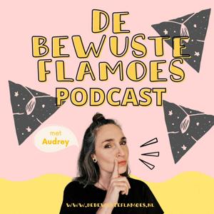 De Bewuste Flamoes