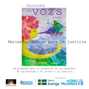 Derecho de Vozs- Abriendo Caminos para la Justicia