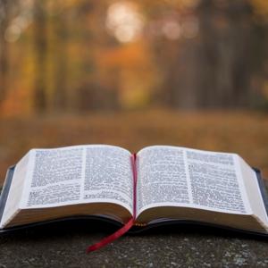 Rev. Patrick Keely Sermons