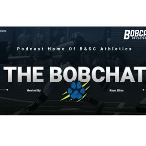 The BobChat