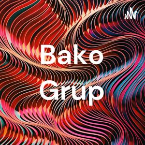 Bako Grup