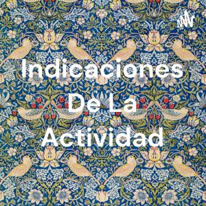 Indicaciones De La Actividad