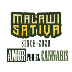 MALAWI SATIVA - Radio Cannabica