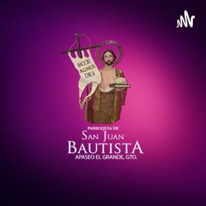 Parroquia de San Juan Bautista, Apaseo el Grande, Gto.