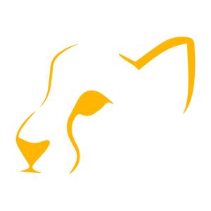 GoThombi - Viajes salvajes