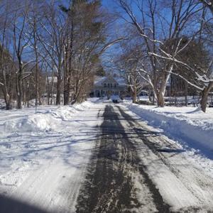 Dina's Daily(ish) Reflections