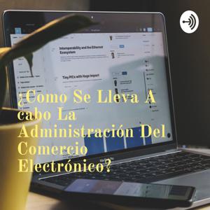 ¿Como Se Lleva A cabo La Administración Del Comercio Electrónico?