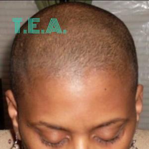 T.E.A. - The Educational Architect