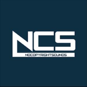 NoCopyrightSound