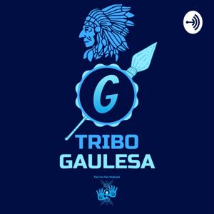 Tribo Gaulesa