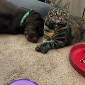 Fend For Yourself Friday