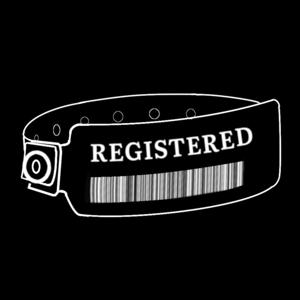 REGISTERED: The Podcast