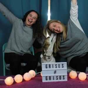 Grises