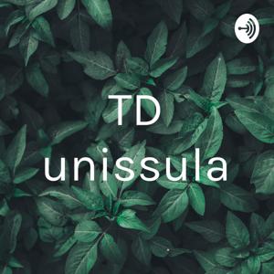 TD unissula