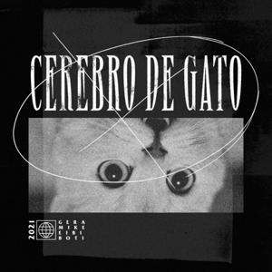 Cerebro De Gato