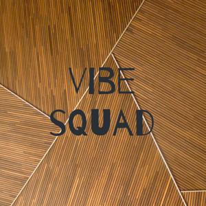 Vibe squad