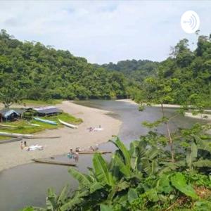 Un paseo por Yurumanguí