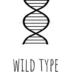 Wild Type