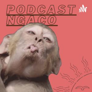 Poco (Podcast ngaco)