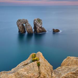 Frente al fotógrafo