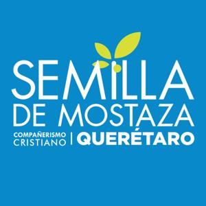 Semilla de Mostaza Querétaro by Semilla de Mostaza Querétaro