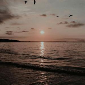 Black Nation With Felicia