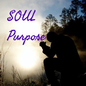 SOUL Purpose