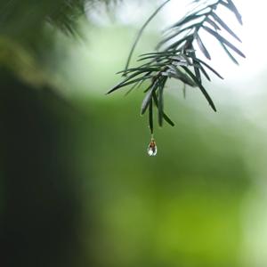 Taman Orang-Orang Yang Berbahagia & Jatuh Cinta