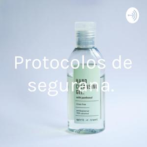 Protocolos de segurança.