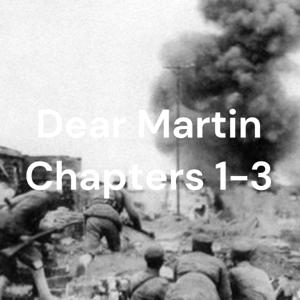 Dear Martin Chapters 1-3