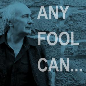 Any Fool Can...