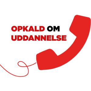 Opkald om uddannelse - viden til fagprofessionelle fra POOM