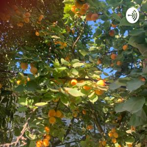 Interpretando y edificándonos