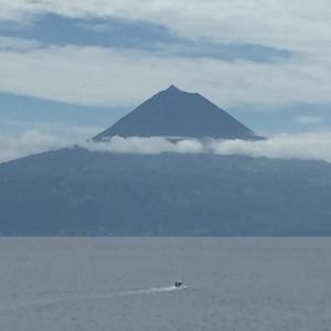 Learn Portuguese of the Azores in a Million Easy Lessons! by Fatima Freitas