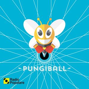 Pungiball