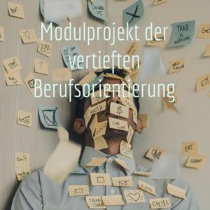 Modulprojekt der vertieften Berufsorientierung