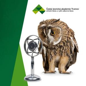 Hovory z trutnovské lesárny