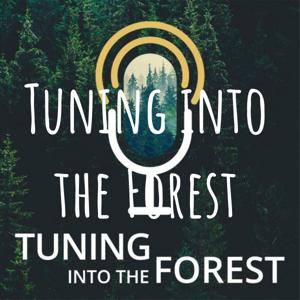 Tuning into the Forest