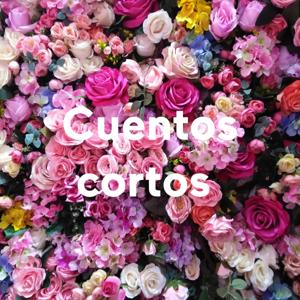 Cuentos cortos